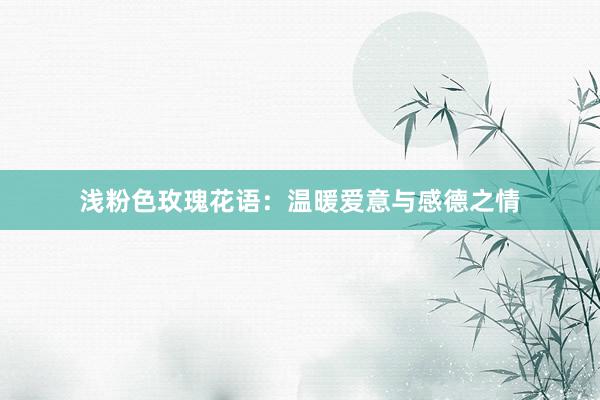 浅粉色玫瑰花语：温暖爱意与感德之情