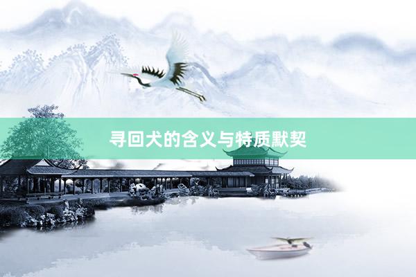 寻回犬的含义与特质默契